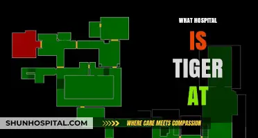 Tiger's Hospital Stay: Uncovering the Location of His Medical Care