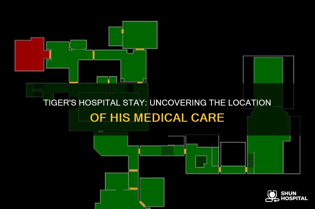 what hospital is tiger at