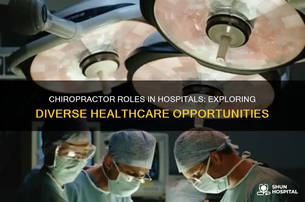 what hospital jobs would a chiropractor be able to do