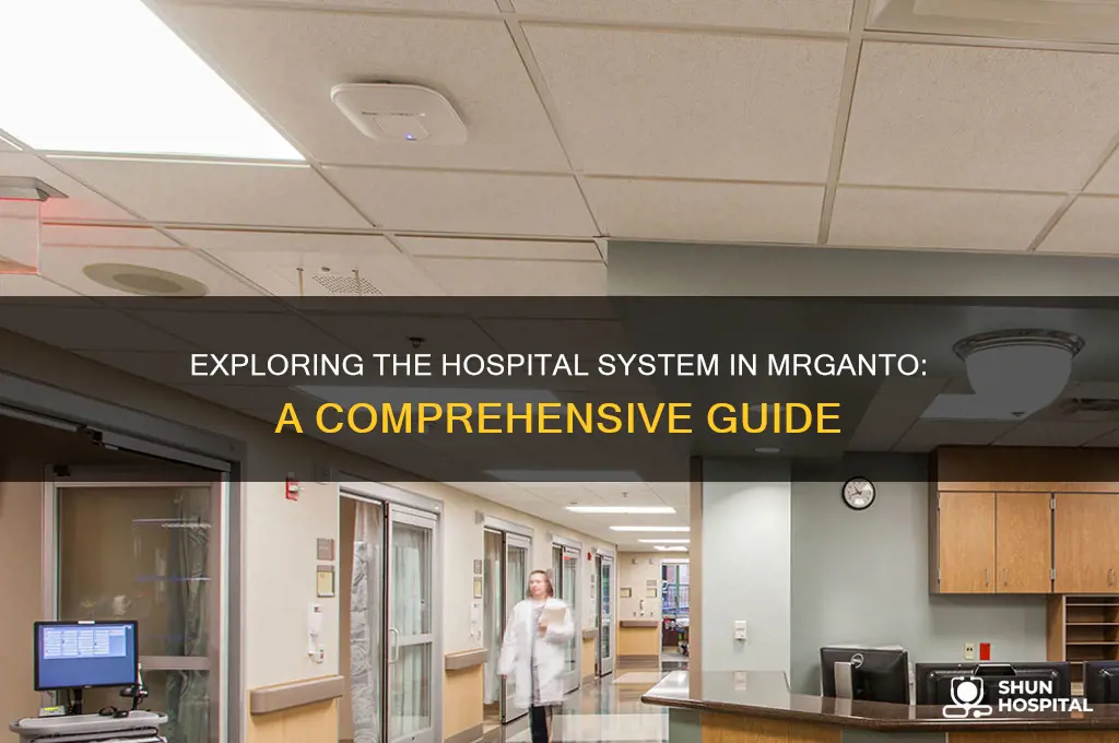 what hospital os mrganto