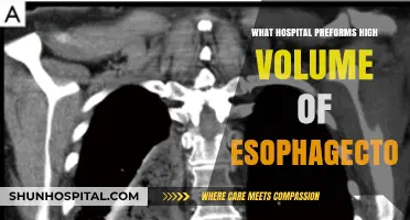 High-Volume Hospitals for Esophagectomies: Where to Go?