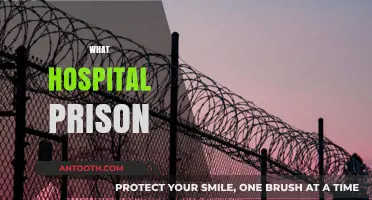 Understanding the Dual Role of Hospitals as Prisons in Healthcare