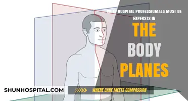 Mastering Body Planes: Essential Skill for Hospital Professionals