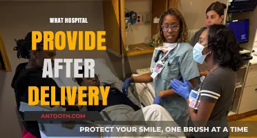 Postpartum Care Essentials: What Hospitals Offer After Childbirth