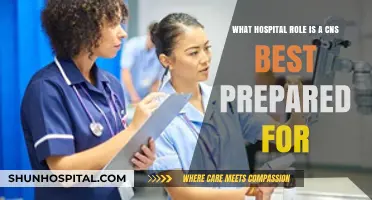 Clinical Nurse Specialist: Ideal Hospital Roles for Expertise and Impact