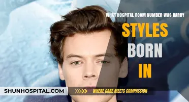 Unveiling the Mystery: Harry Styles' Birth Hospital Room Number
