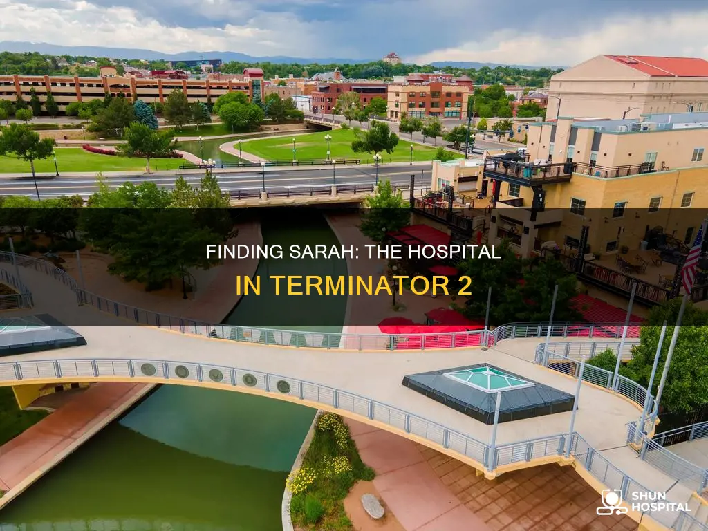 what hospital sarah is in terminator 2