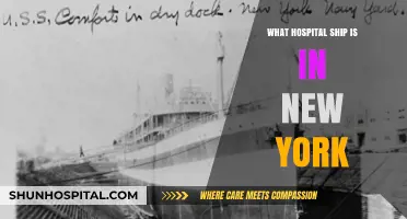 Hospital Ship in New York: Where and Why?