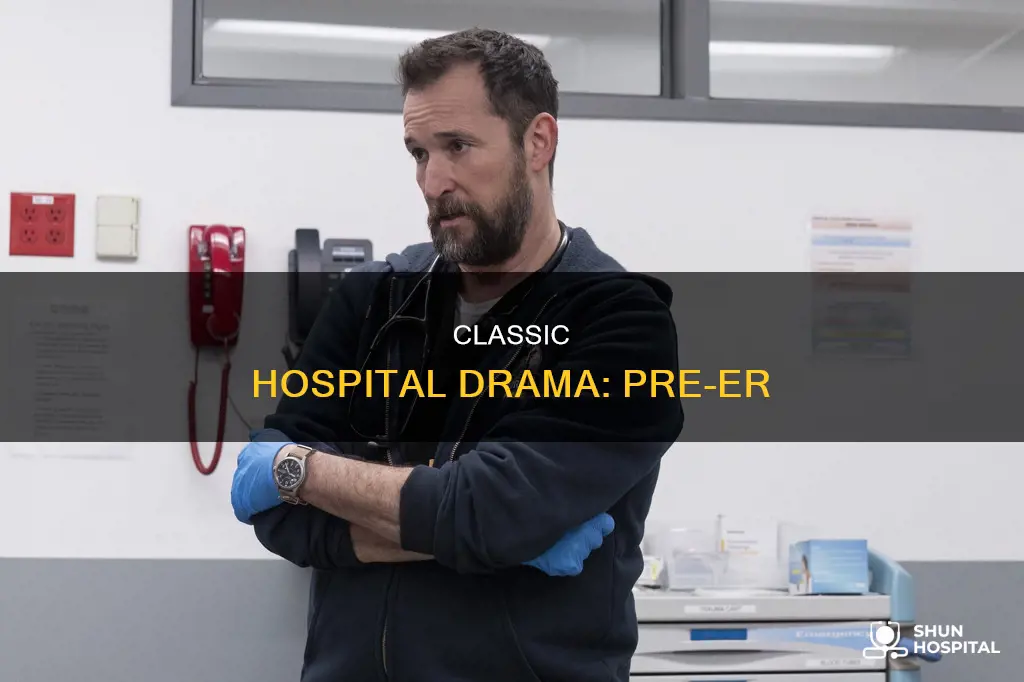 what hospital show was on before er
