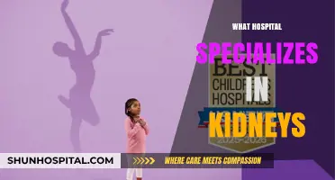Top Kidney Care Centers: Specialized Hospitals for Renal Health Treatment