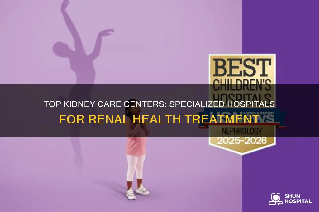 what hospital specializes in kidneys