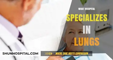 Top Lung Care Hospitals: Specialized Treatment for Respiratory Health