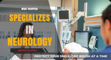 Top Neurology Hospitals: Expert Care for Brain and Nervous System Disorders