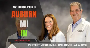 Hospital Systems Covering Auburn, Michigan: Where Does It Fit?