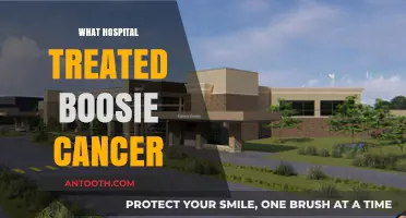 Boosie's Cancer Battle: Which Hospital Provided His Life-Saving Treatment?