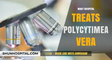 Top Hospitals for Polycythemia Vera Treatment: Expert Care Options
