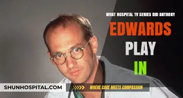 Anthony Edwards' Iconic Role in ER: A Hospital TV Series