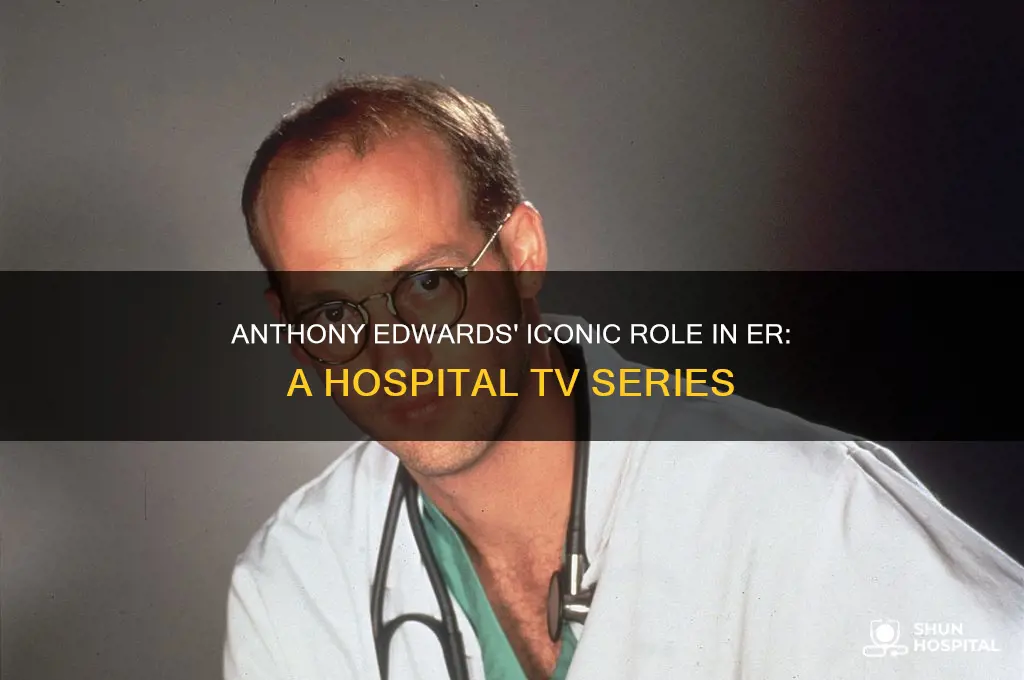 what hospital tv series did anthony edwards play in