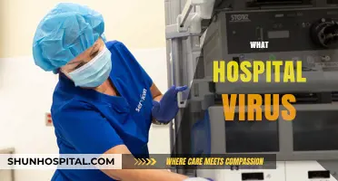 Understanding the Hospital Virus: Risks, Prevention, and Patient Safety Tips