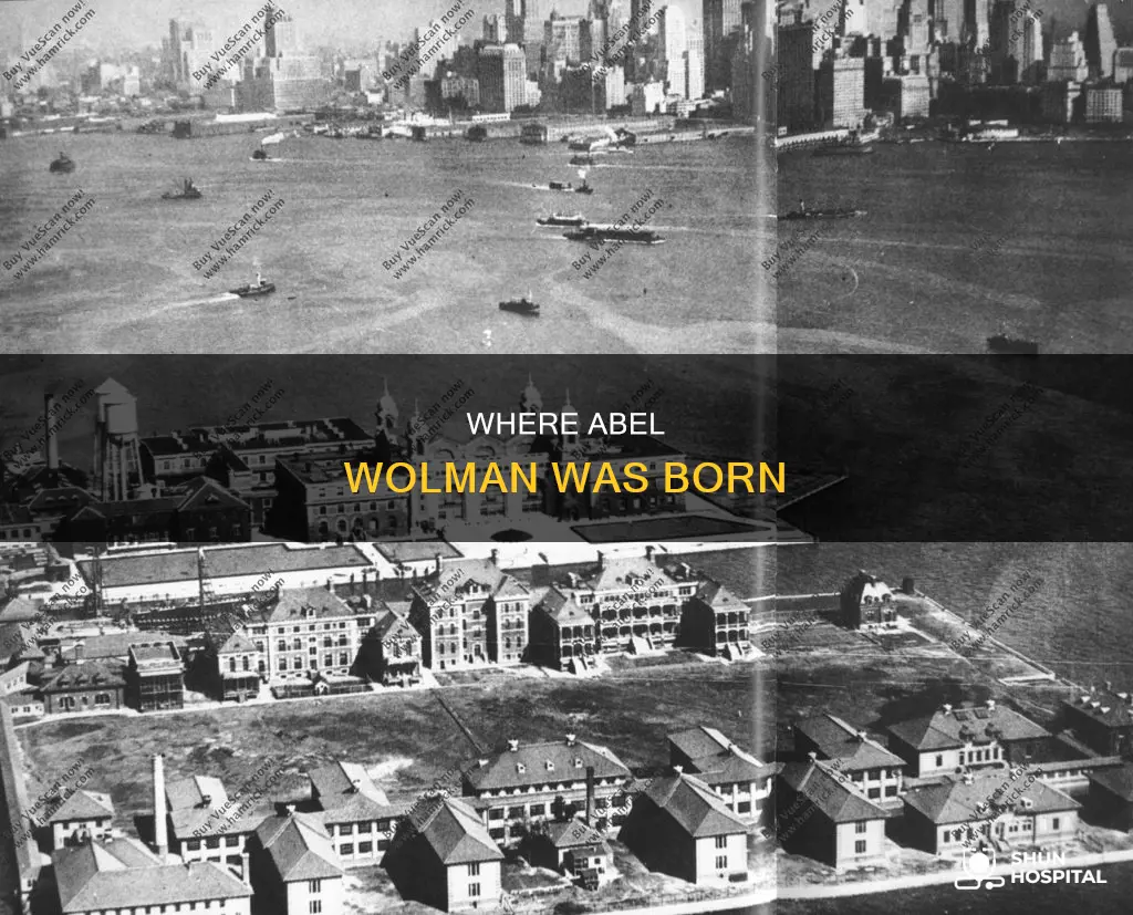 what hospital was abel wolman born at