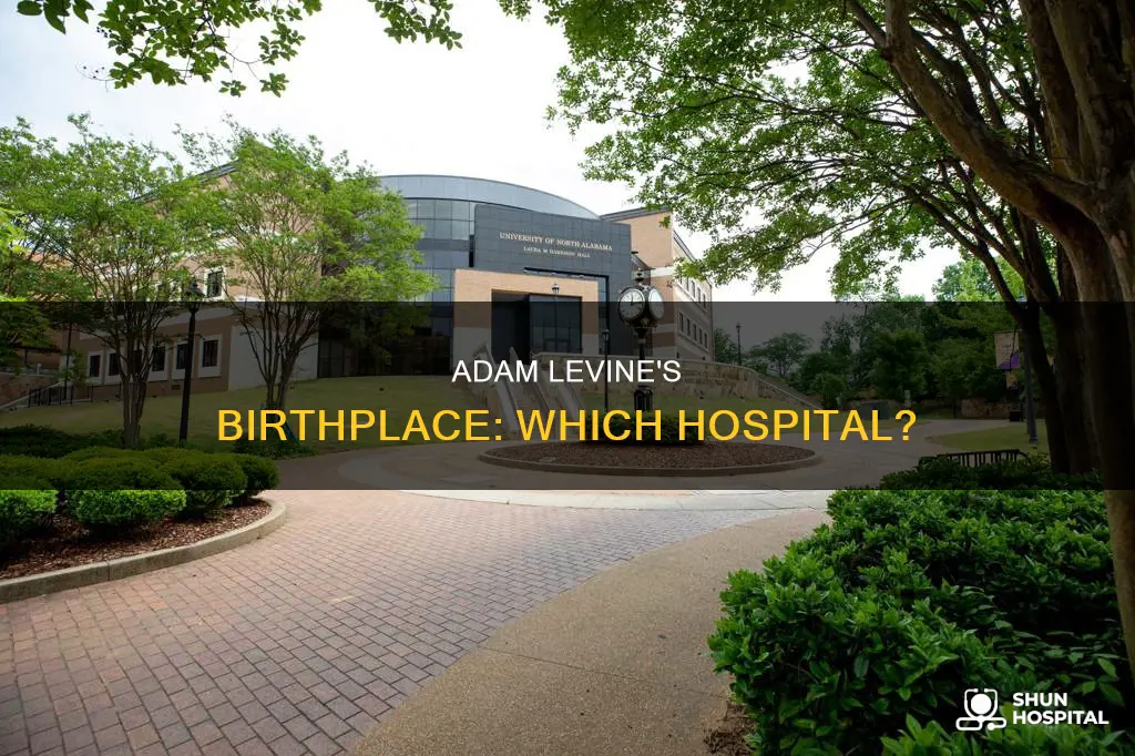 what hospital was adam levine born in