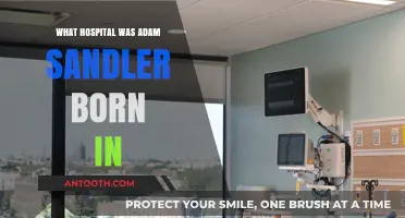Adam Sandler's Birthplace: A Hospital in Brooklyn, New York