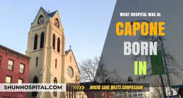 Al Capone's Birthplace: A Hospital's Infamous Legacy