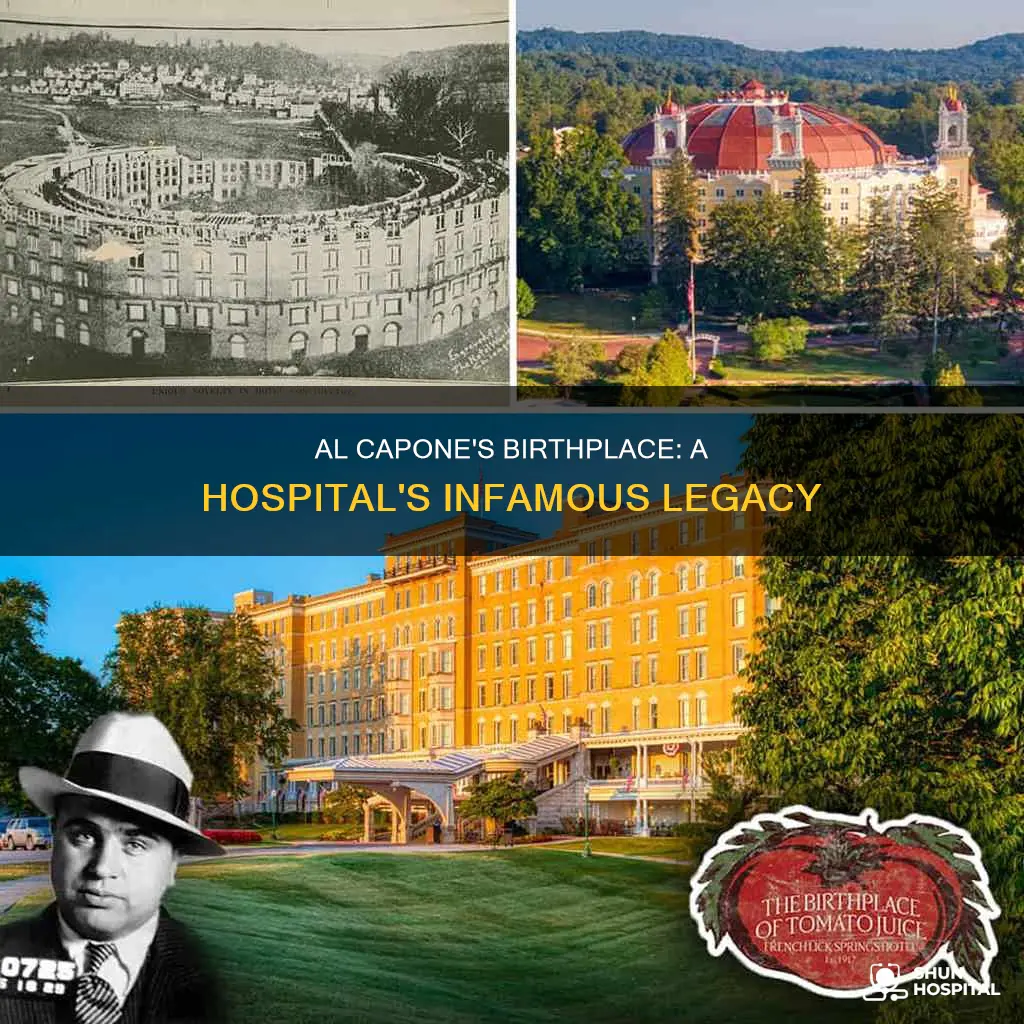 what hospital was al capone born in