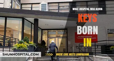 Alicia Keys' Birthplace: Hospital and Early Life