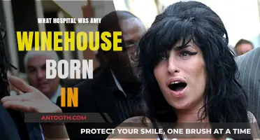 Winehouse's Birthplace: A Hospital in North London