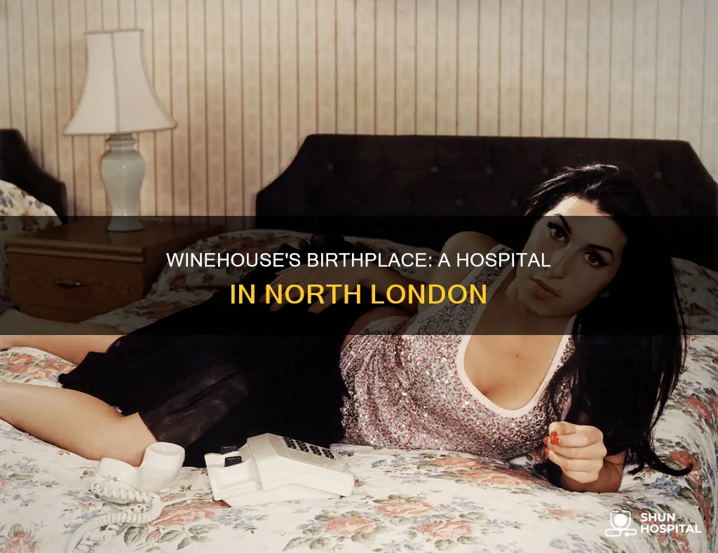 what hospital was amy winehouse born in