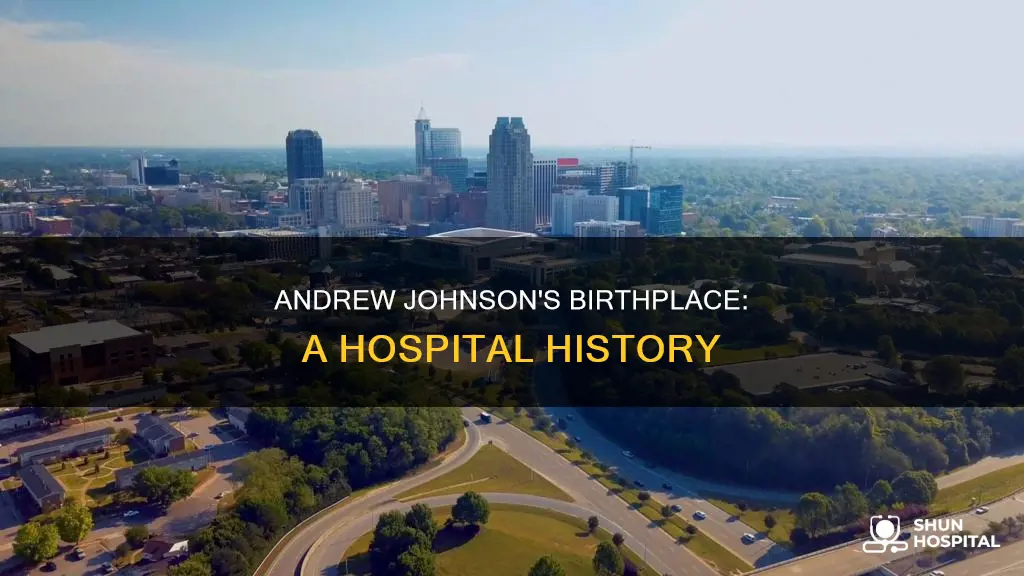 what hospital was andrew johnson was born