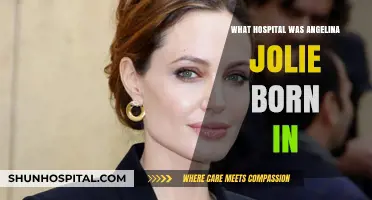 Where Was Angelina Jolie Born?
