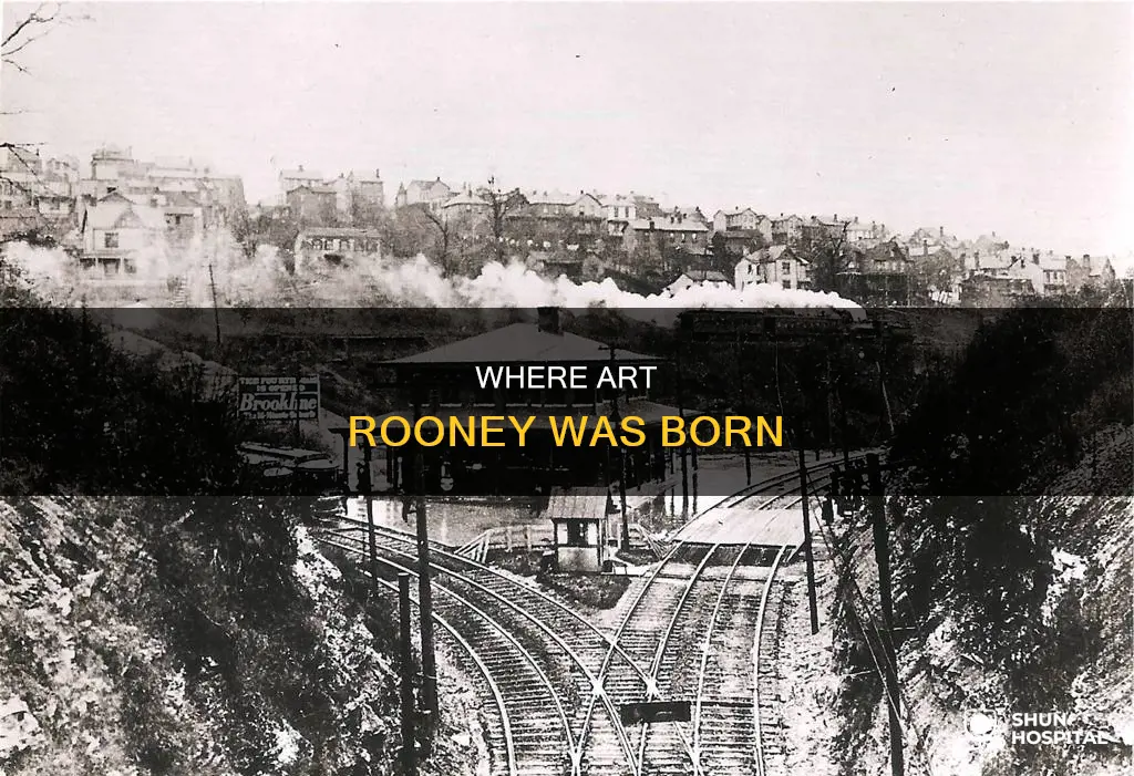 what hospital was art rooney born in