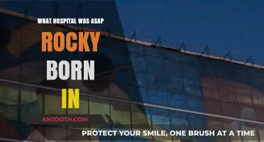 ASAP Rocky's Birthplace: Which Hospital?