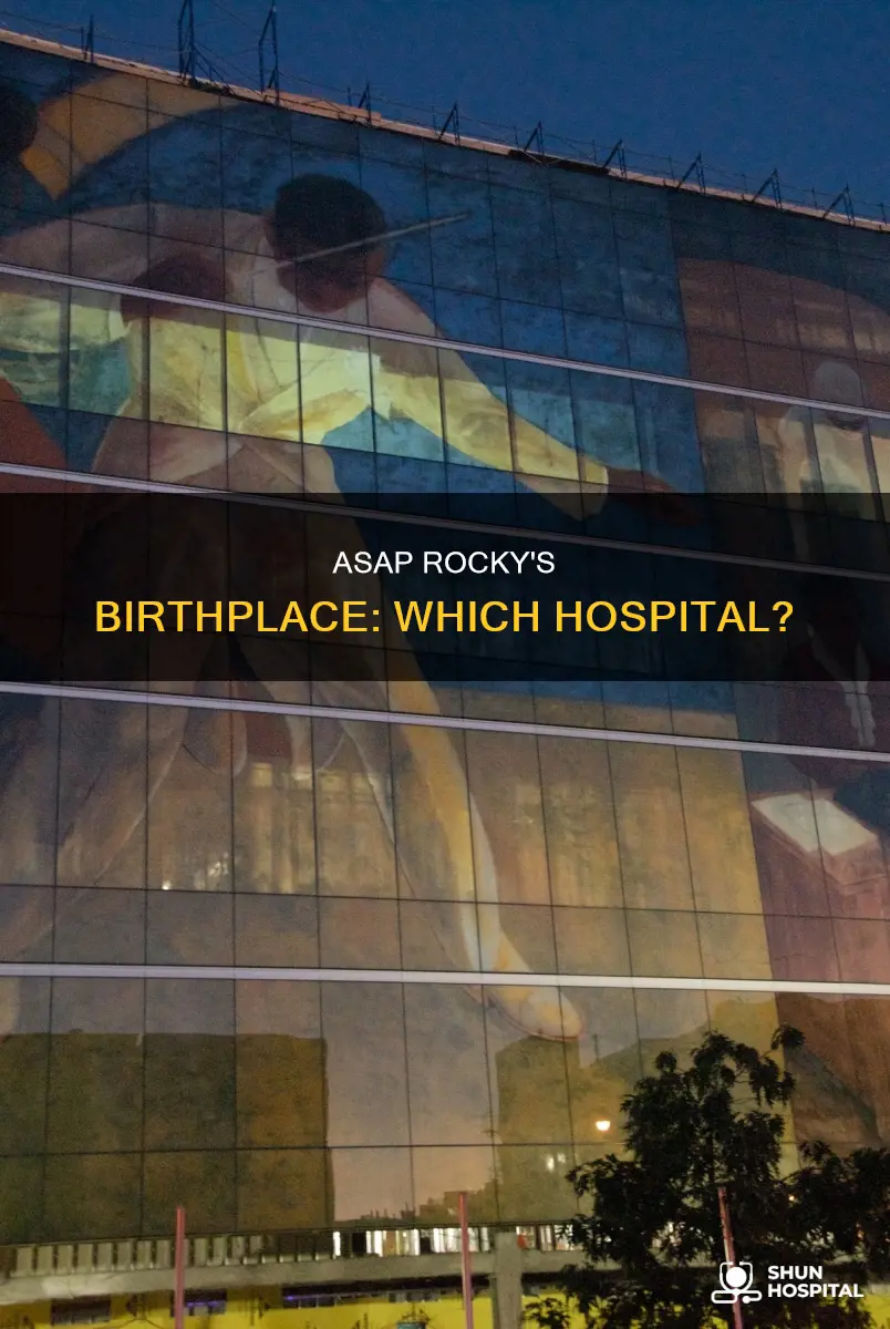 what hospital was asap rocky born in
