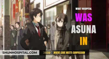 Unveiling the Mystery: Asuna's Hospital Location Explained