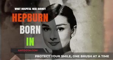 Audrey Hepburn's Birthplace: Unveiling the Hospital