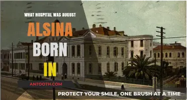 August Alsina's Birthplace: A Hospital Tour