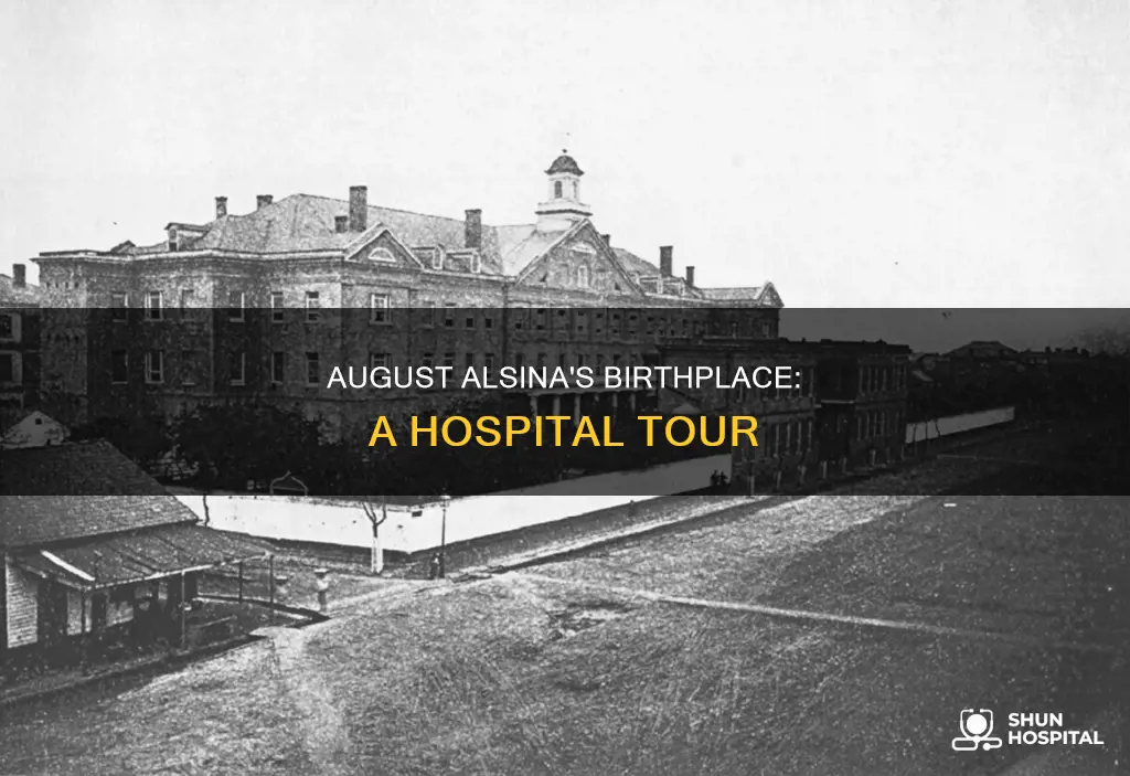 what hospital was august alsina born in