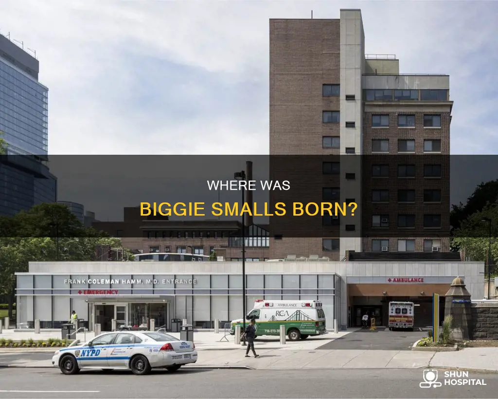 what hospital was biggie smalls born in
