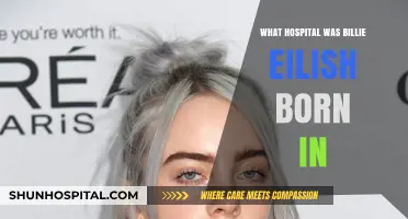 Billie Eilish's Birthplace: Which Hospital Was It?