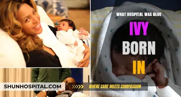 Where Did Blue Ivy Carter Enter the World?