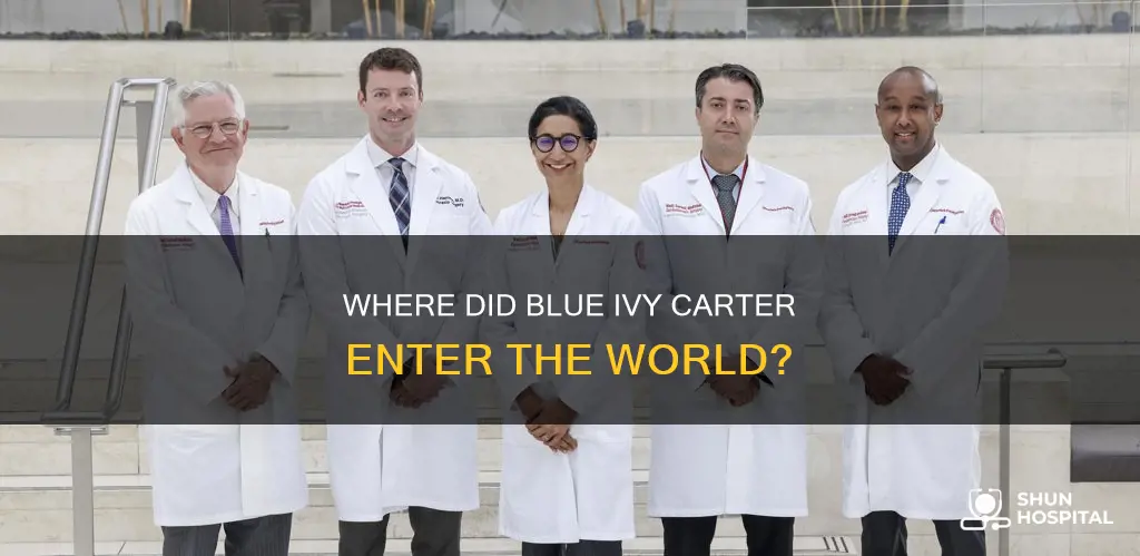 what hospital was blue ivy born in