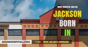 Where Bo Jackson Was Born