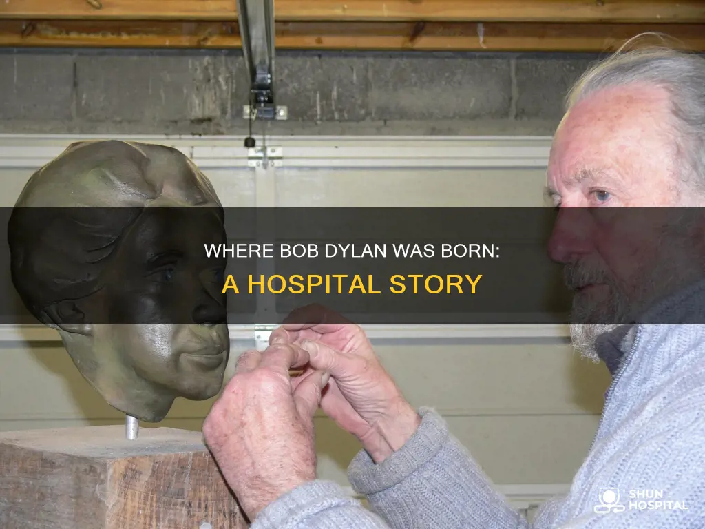 what hospital was bob dylan born in