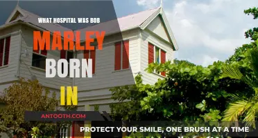 Bob Marley's Birthplace: A Hospital in Jamaica