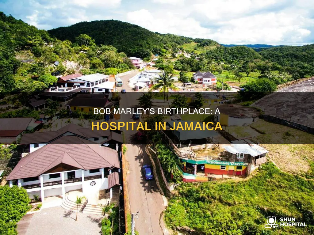 what hospital was bob marley born in