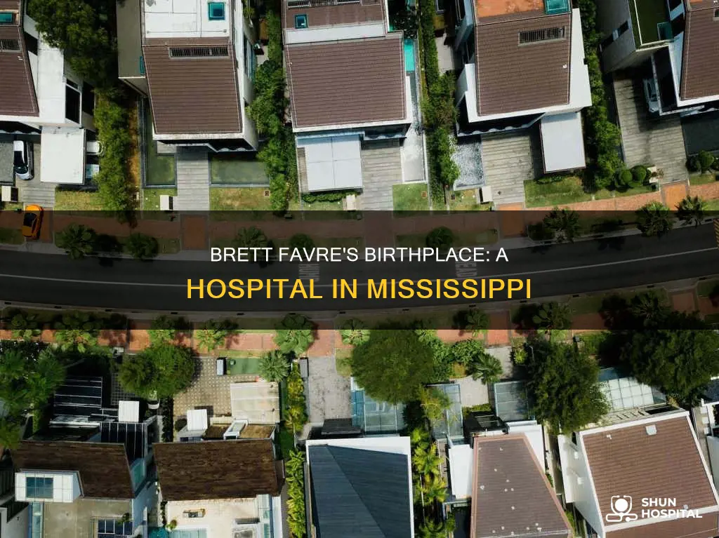 what hospital was brett favre born in
