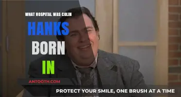 Where Was Colin Hanks Born?